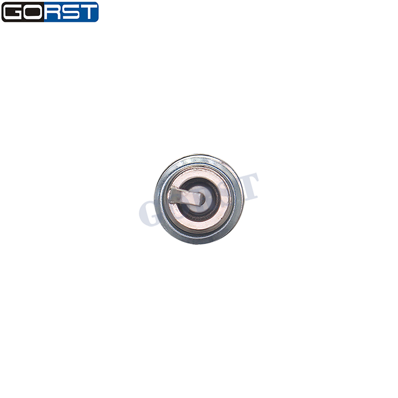 10개 M14x1.25 더블 이리듐 스파크 플러그 FR - Bosch Spark Plug Iridium 리뷰 및 가격
